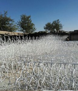 حفاظ بوته ای